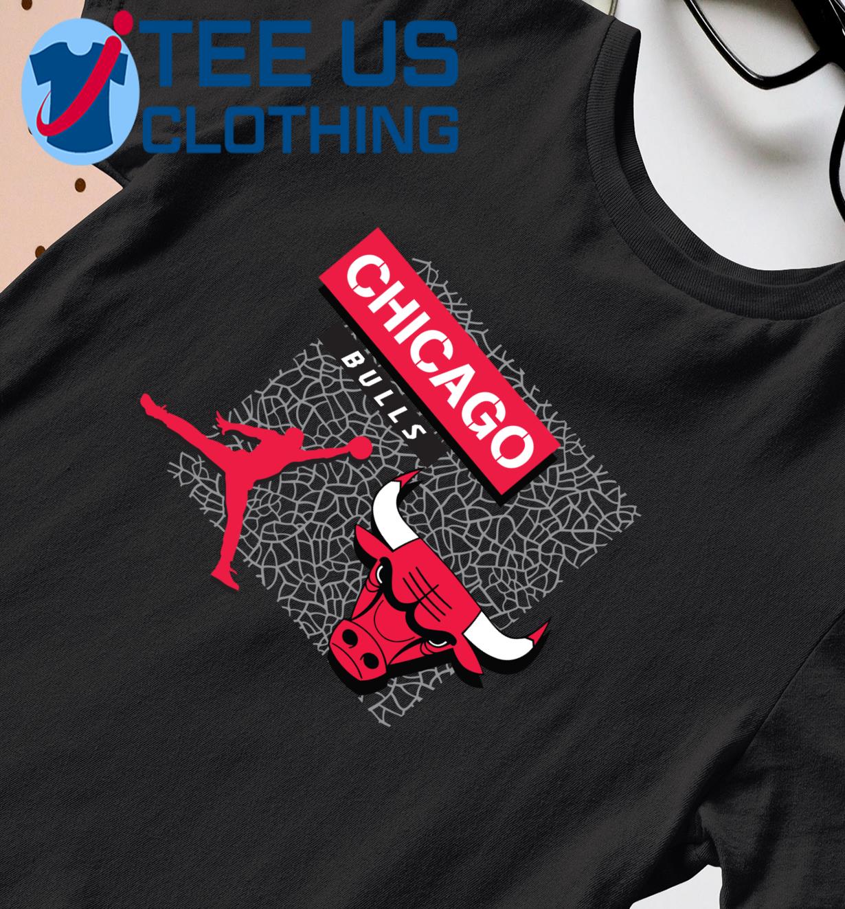 Chicago Bull Basketball 2023 Jordan shirt